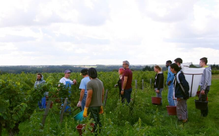 brief des vendengeurs
